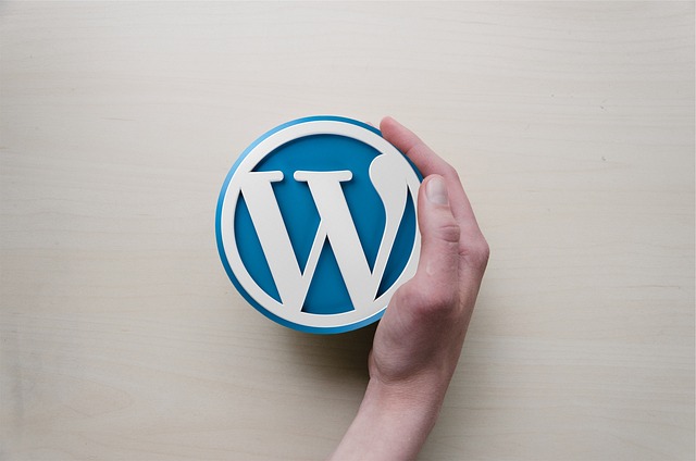 SEO WordPress